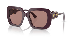538273 - Bordeaux with Brown Lenses