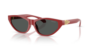 538887 - Red with Dark Grey Lenses