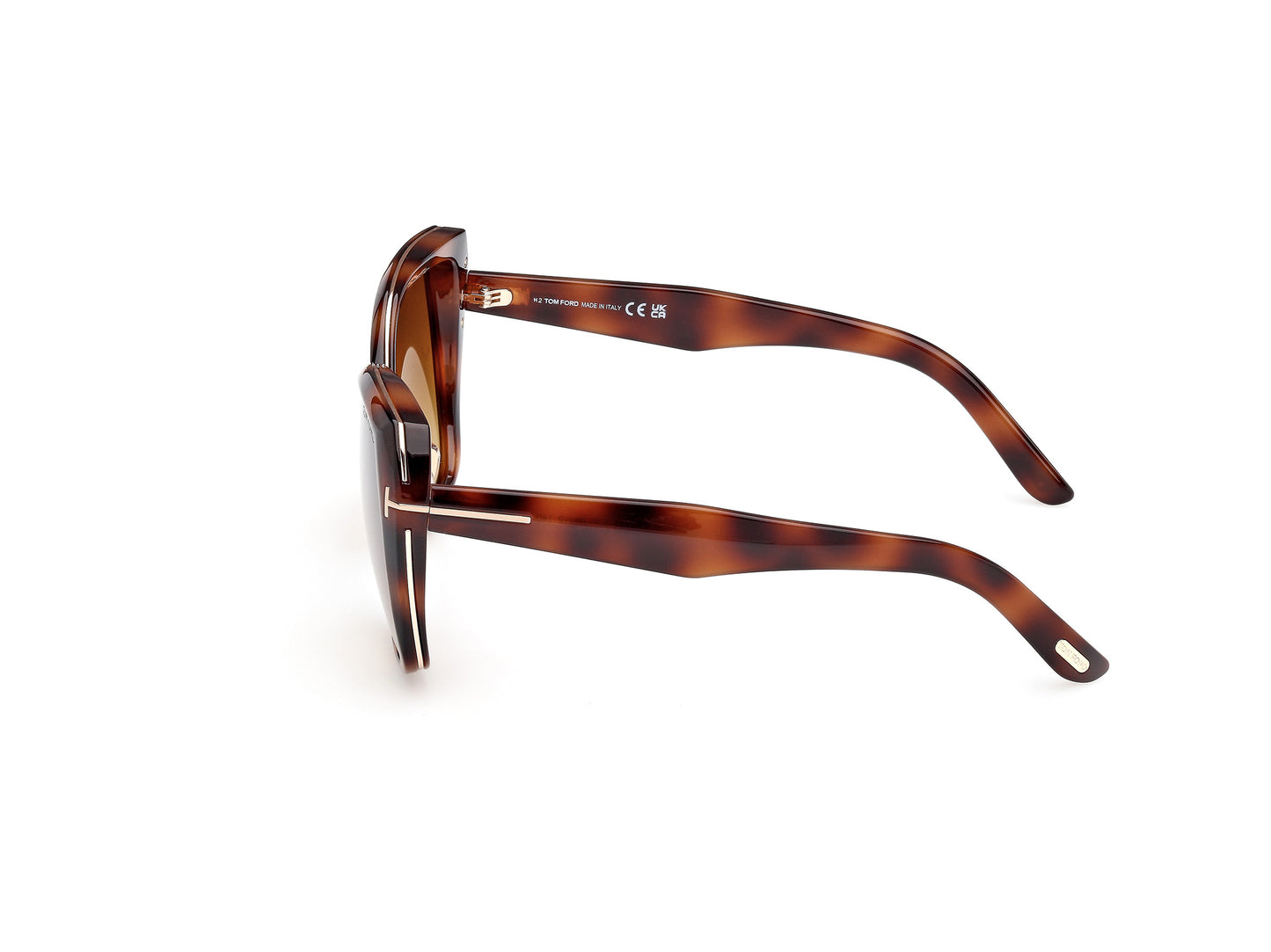 Tom Ford FT1223 Plum Sunglasses