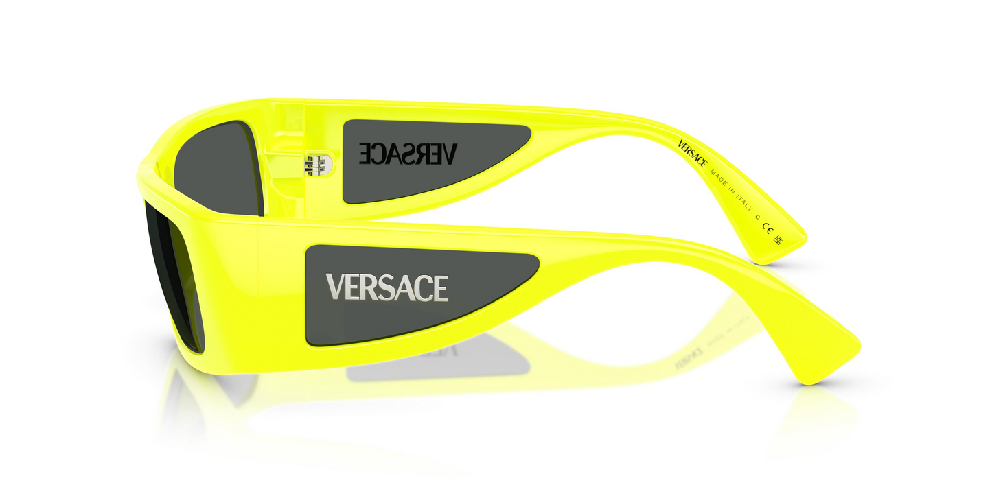 Versace VE4482 Sunglasses