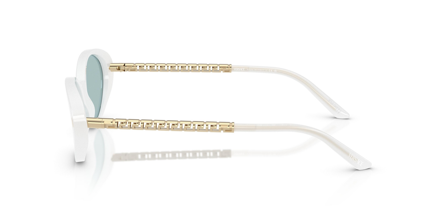 Versace VE4469 Sunglasses