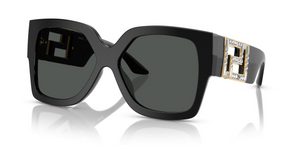 547887 - Black with Dark Grey Lenses