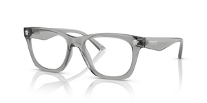 5496 - Grey Transparent with Clear Lenses