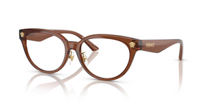 5508 - Brown Transparent with Clear Lenses