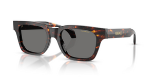 550981 - Havana with Polarized Dark Grey Lenses