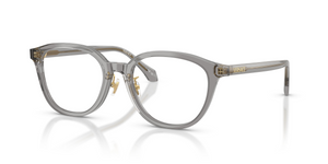 5510 - Transparent Grey with Clear Lenses