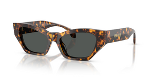551487 - Havana Tortoise with Dark Grey Lenses