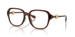5534 - Transparent Brown with Clear Lenses