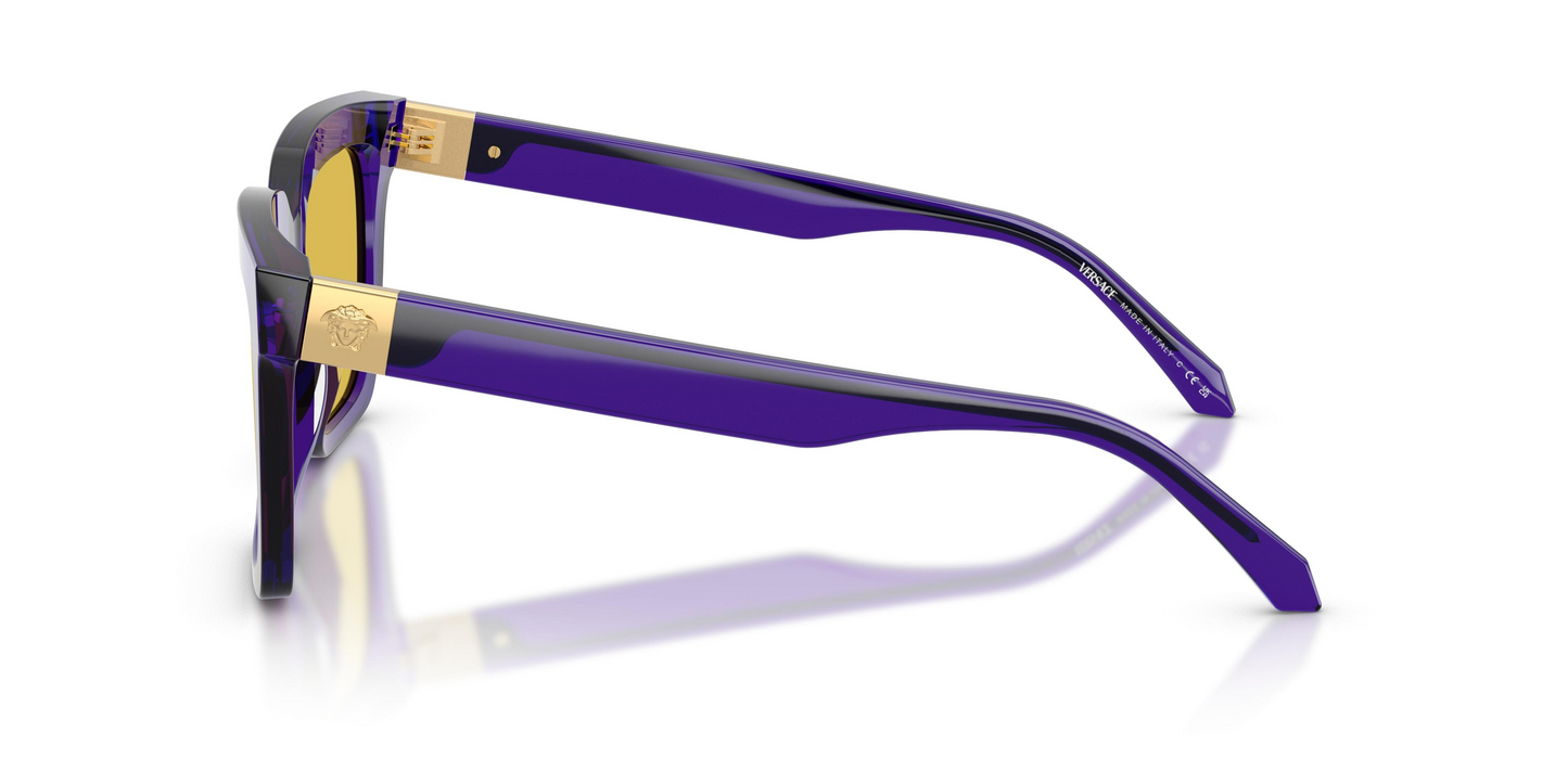 Versace VE4498 Sunglasses