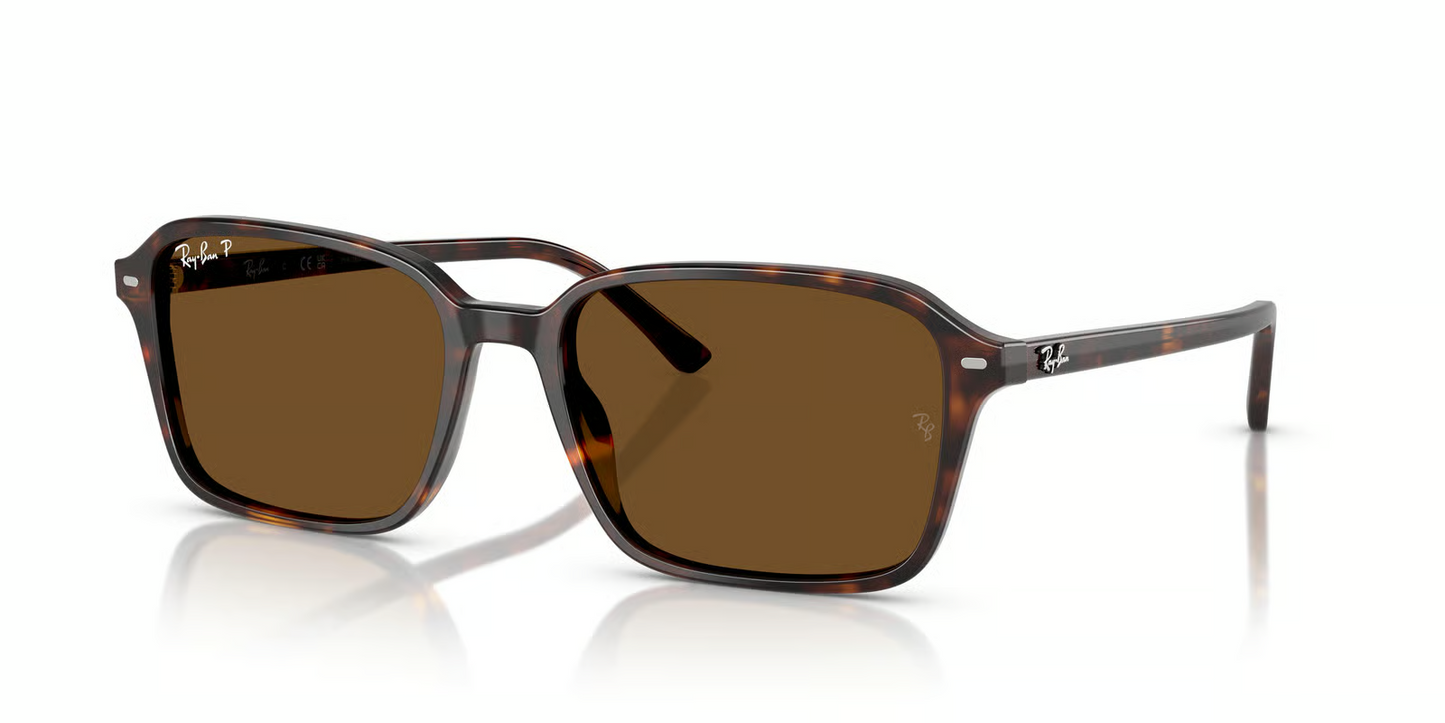 Ray-Ban RB2231 Raimond Sunglasses