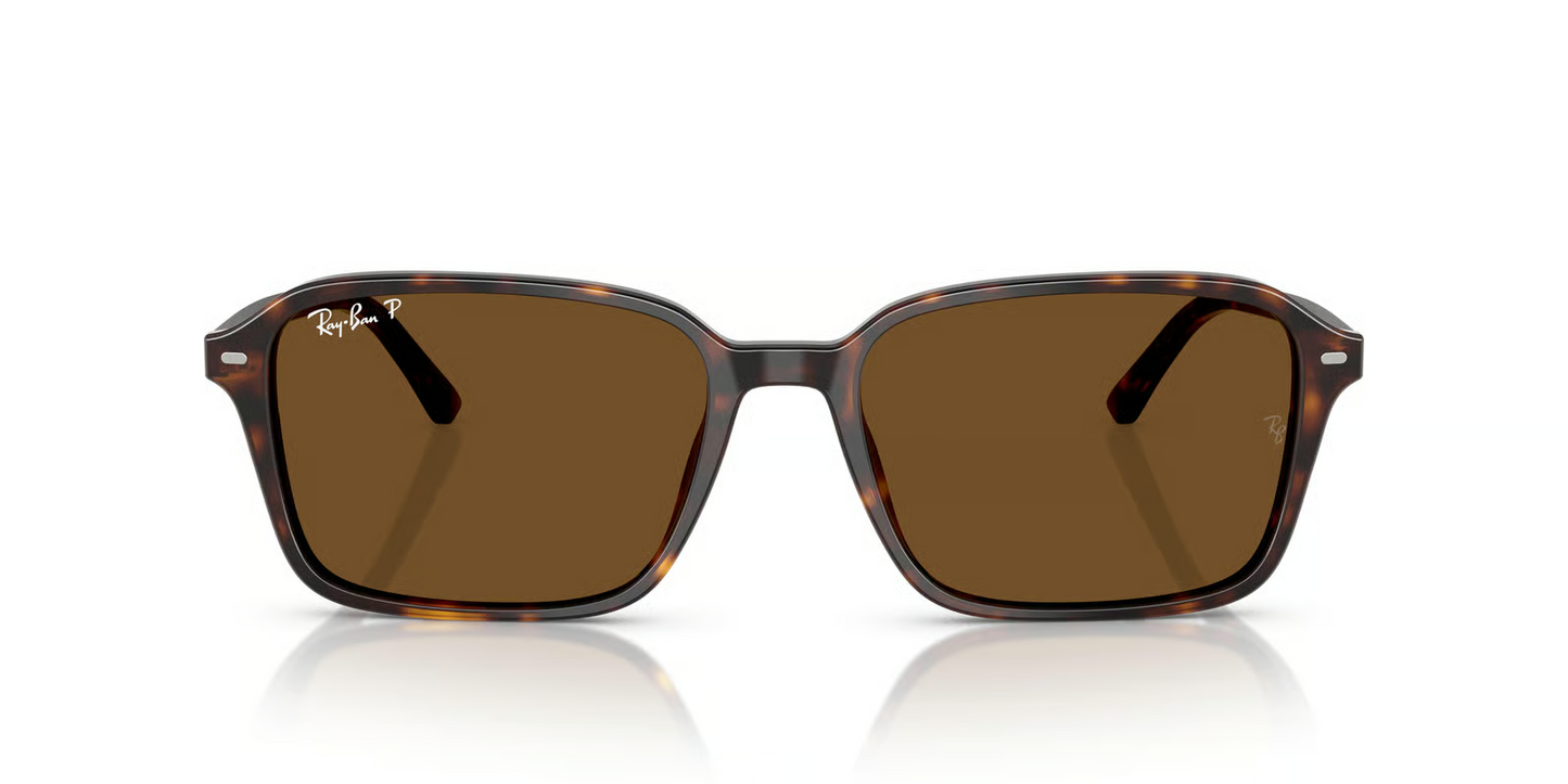 Ray-Ban RB2231 Raimond Sunglasses