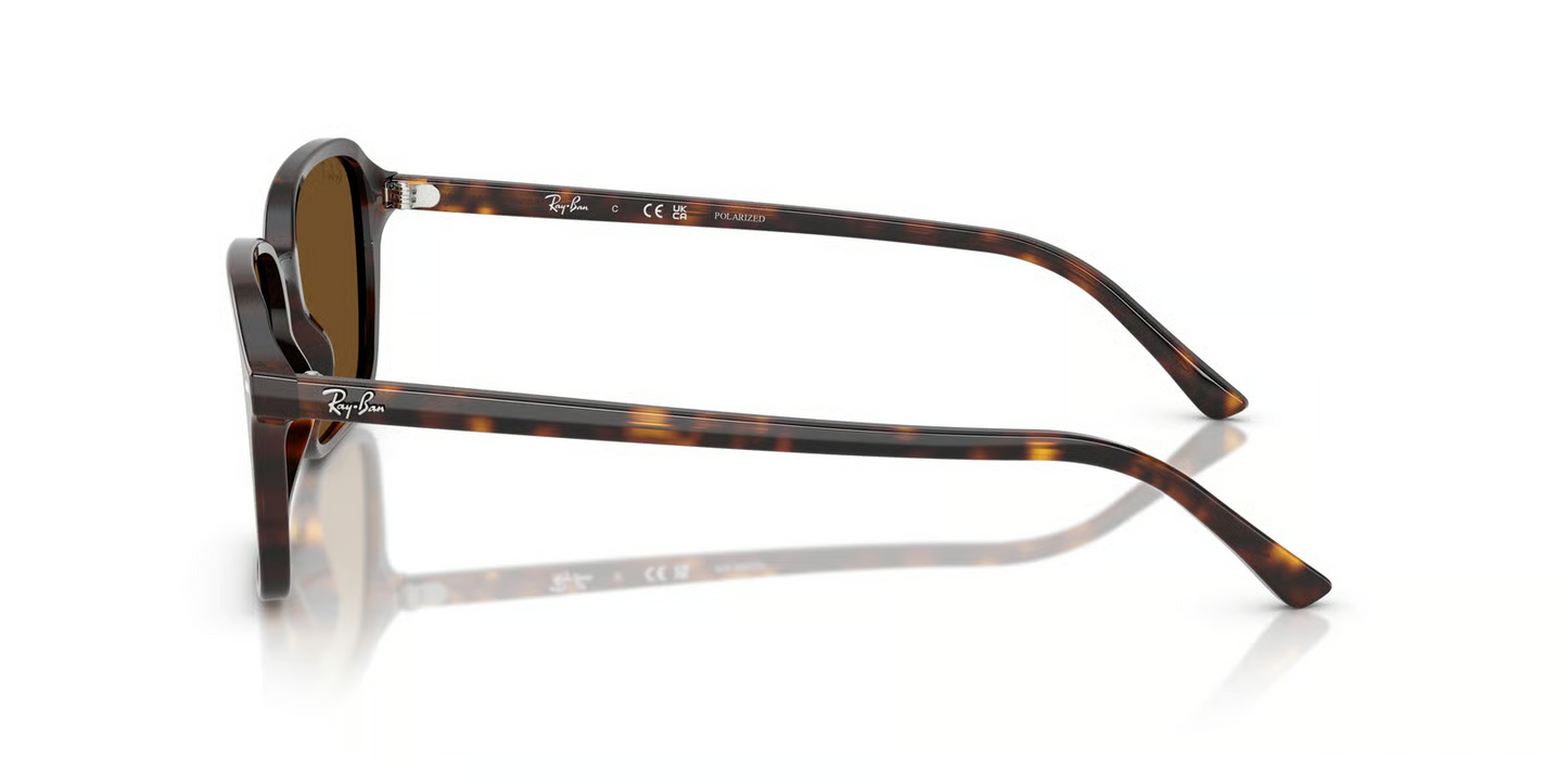 Ray-Ban RB2231 Raimond Sunglasses