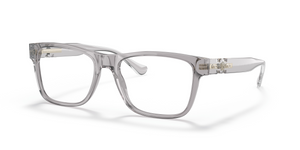 593 - Transparent Grey with Clear Lenses