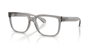 593 - Transparent Grey with Clear Lenses