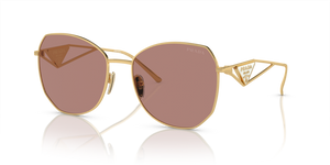 5AK10D - Gold with Light Brown Lenses
