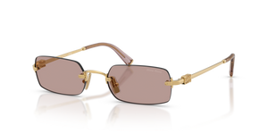 5AK20I - Gold with Light Purple Brown Lenses