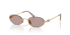 5AK20I - Gold with Light Purple Brown Lenses