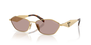 5AK20I - Gold with Light Purple Brown Lenses