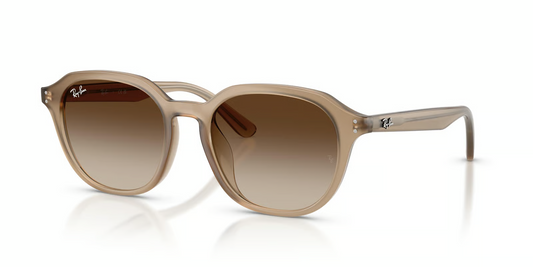 Ray-Ban RB4459D Sunglasses
