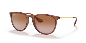 659013 - Transparent Light Brown with Gradient Brown Lenses