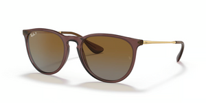 6593T5 - Transparent Dark Brown with Polarized Gradient Brown Lenses