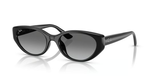 Ray-Ban RB4457D Sunglasses