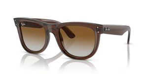 6709CB - Transparent Brown with Brown Lenses
