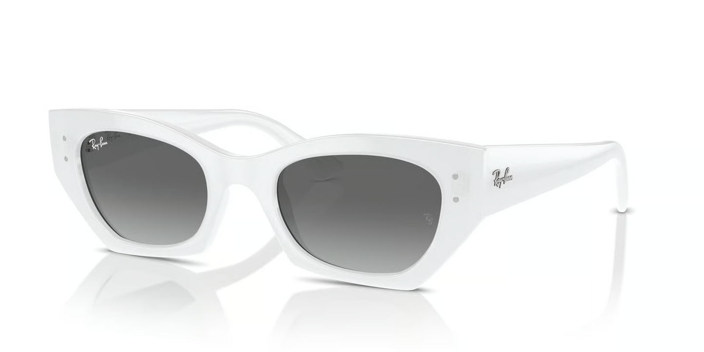Ray-Ban RB4430 Zena Sunglasses