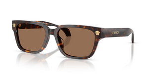 108/73 - Havana with Dark Brown Lenses