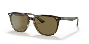 710/73 - Havana with Dark Brown Lenses