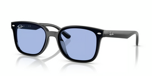 601/80 - Black wit Blue Lenses
