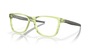 816308 - Polished Transparent Fern with Clear Lenses