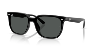 601/87 - Black with Dark Grey Lenses