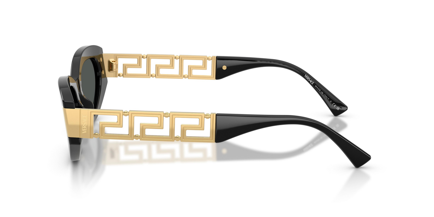 Versace VE4501 Sunglasses
