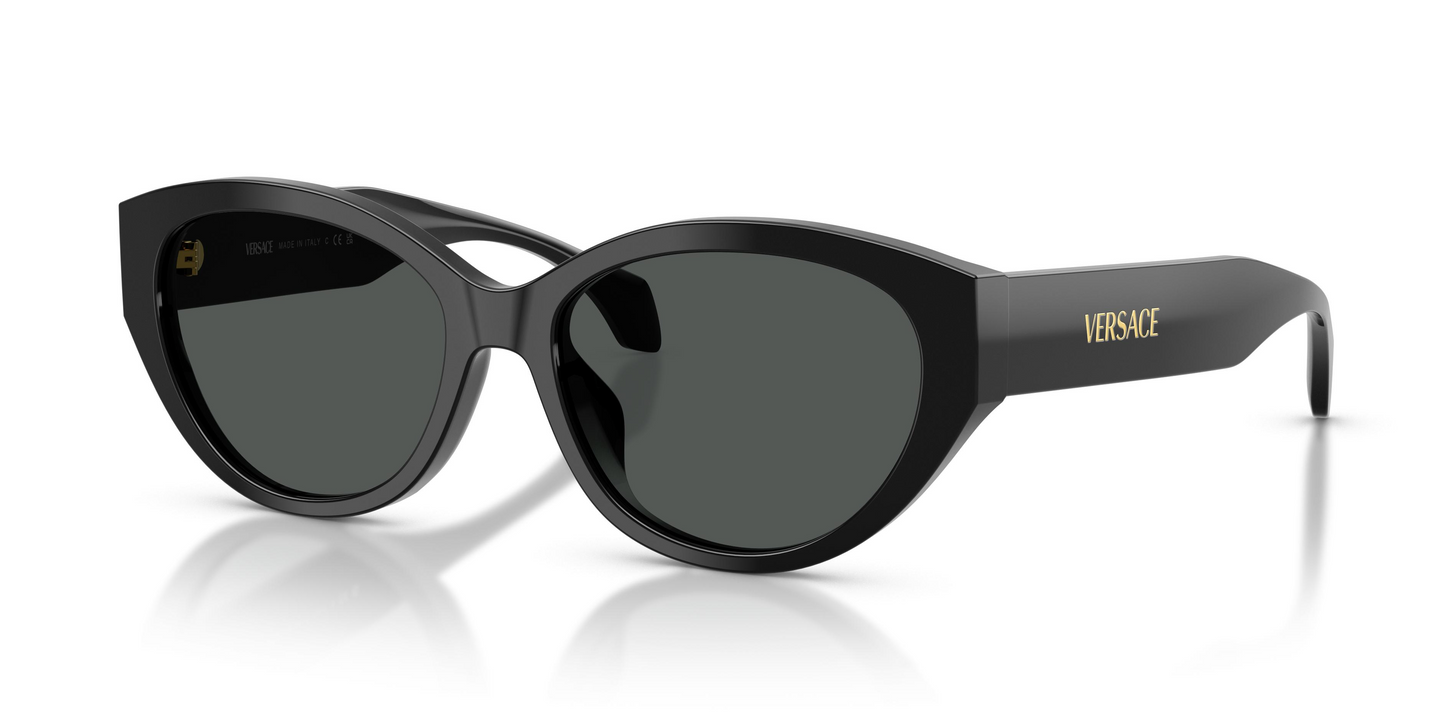 Versace VE4495D Sunglasses