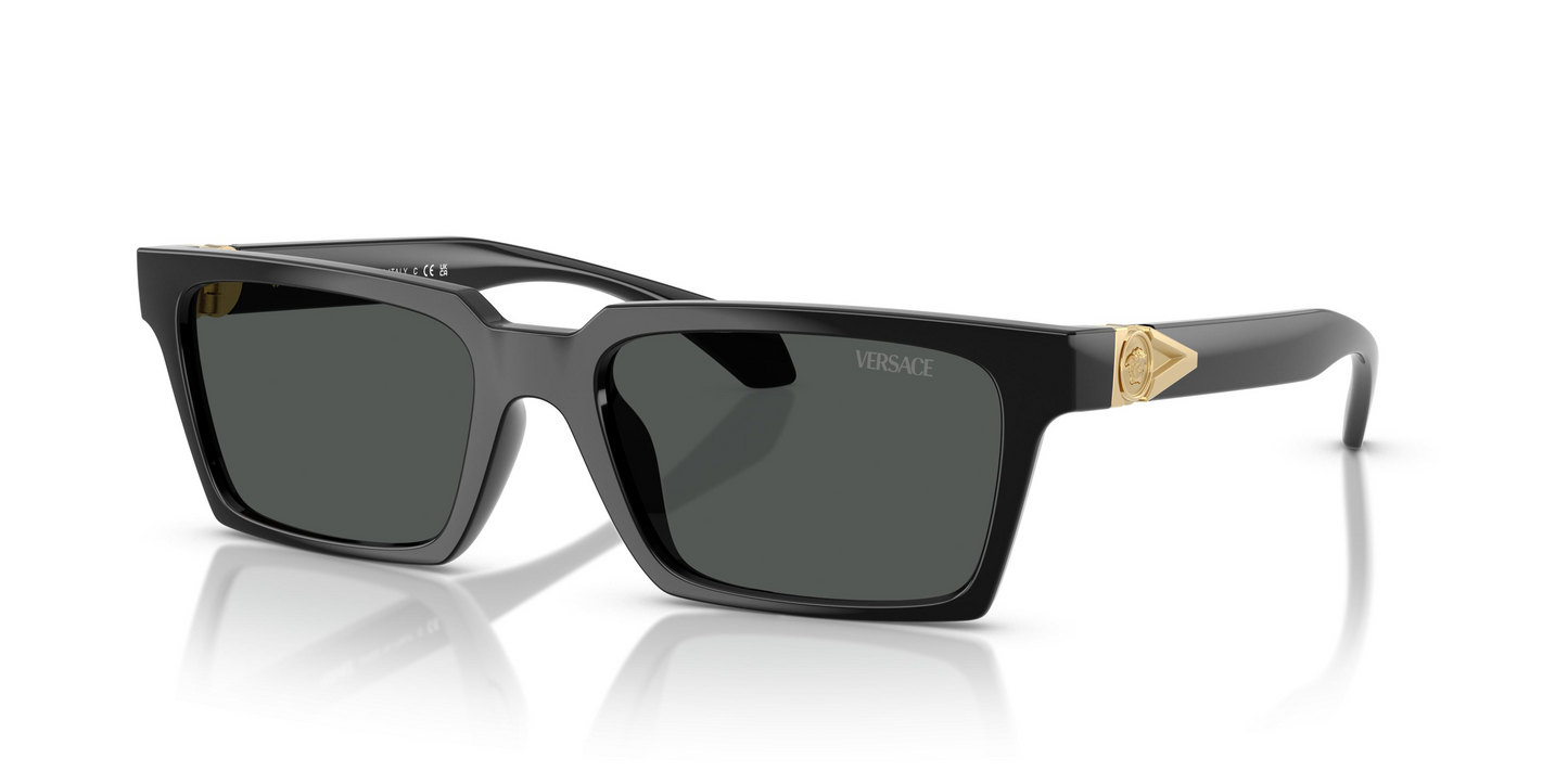 Versace VE4490U Sunglasses