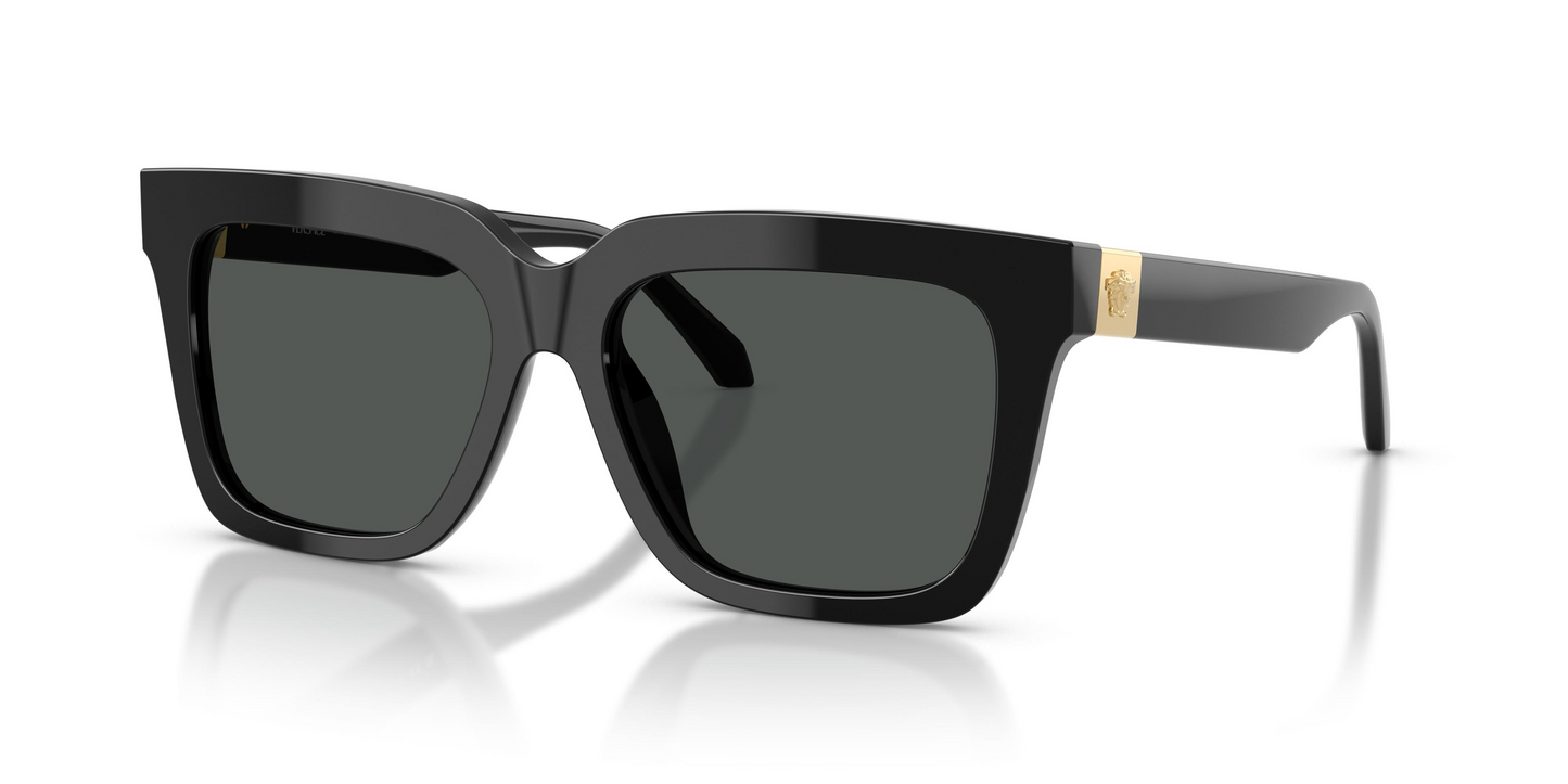 Versace VE4498 Sunglasses