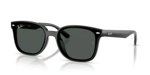 601/87 - Black with Dark Grey Lenses