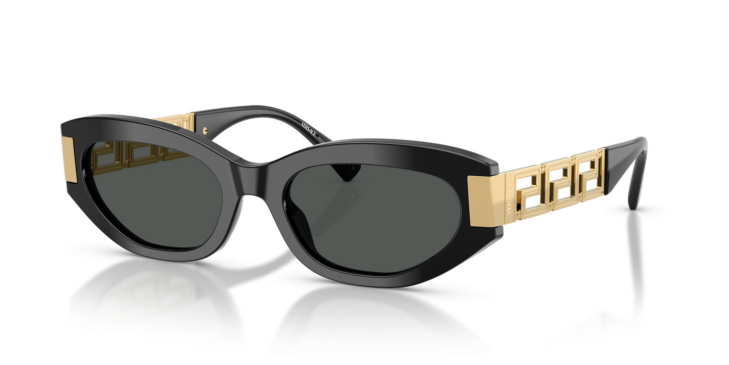 Versace VE4501 Sunglasses