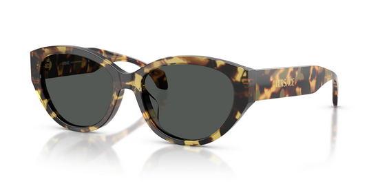 Versace VE4495D Sunglasses