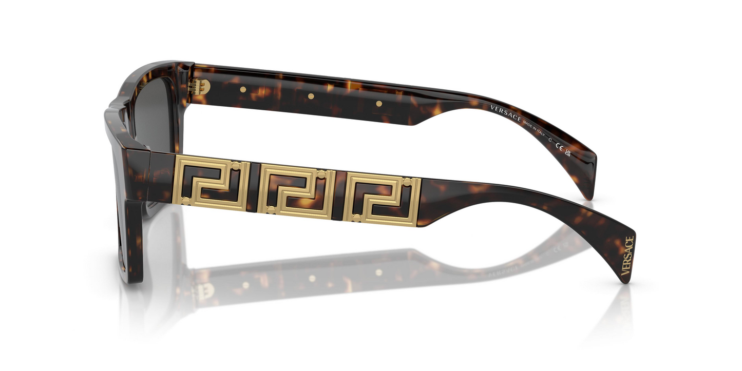 Versace VE4445F Sunglasses