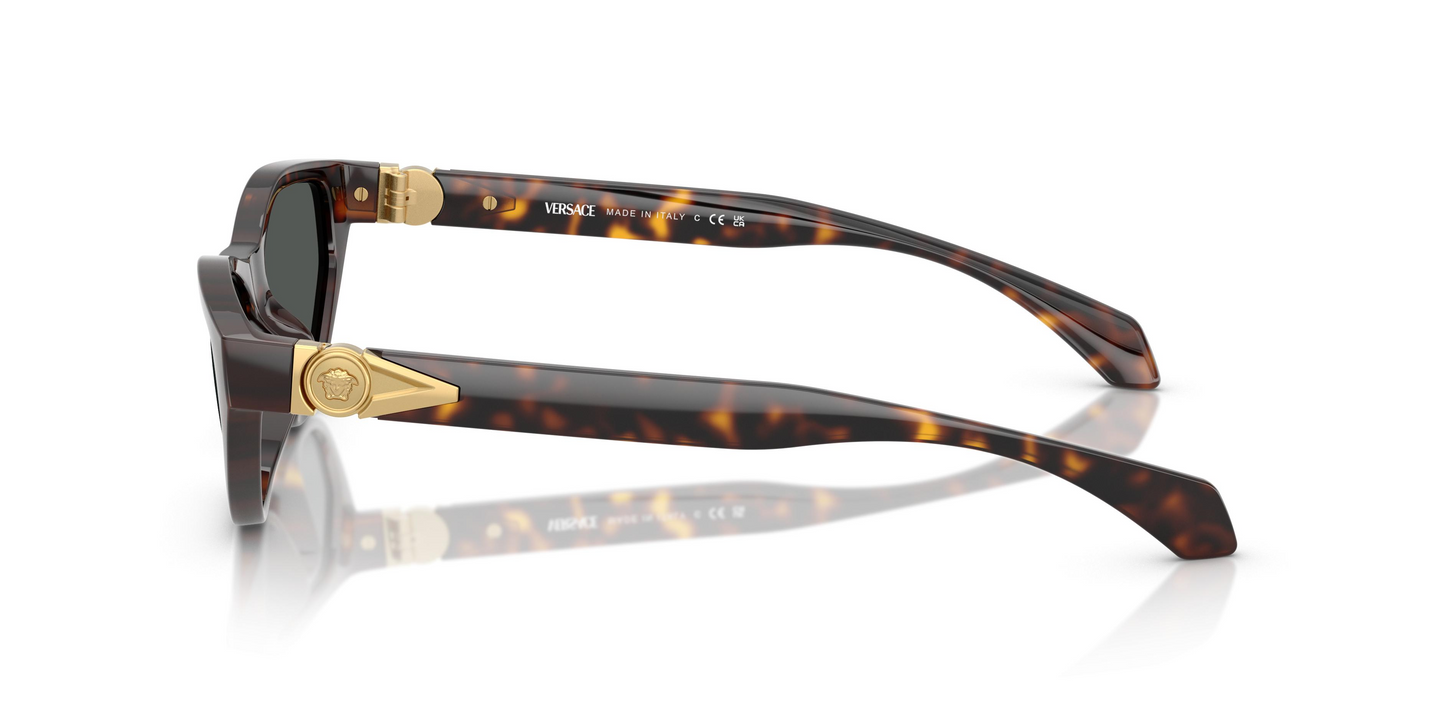 Versace VE4491U Sunglasses