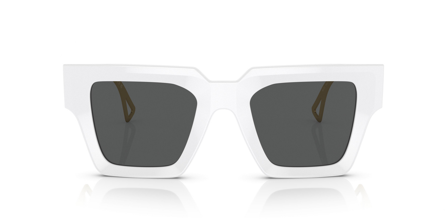 Versace VE4431 Sunglasses