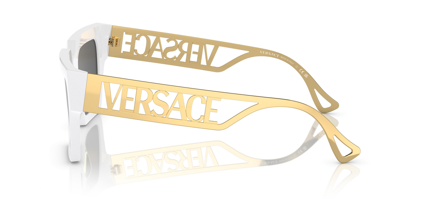 Versace VE4431 Sunglasses