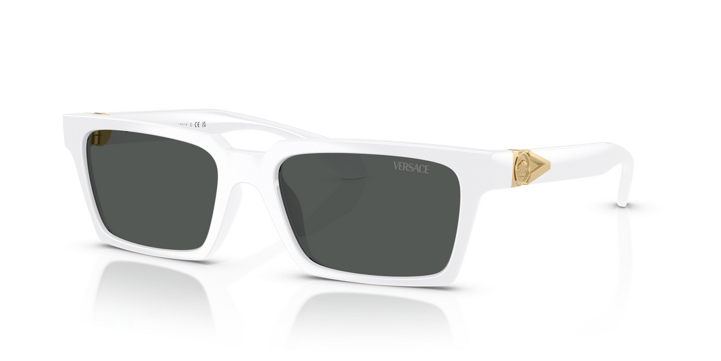 Versace VE4490U Sunglasses