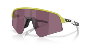 946537 - Cactus with Prizm Road Black Lenses