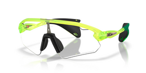 952504 - Cactus with Clear To Black Iridium Photochromic Lenses
