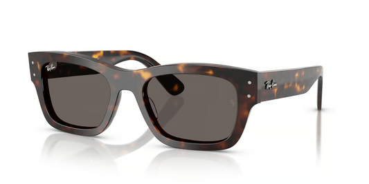 Ray-Ban RB7683S Joseph Sunglasses