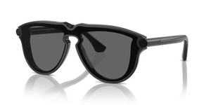 411287 - Dark Grey with Dark Grey Lenses