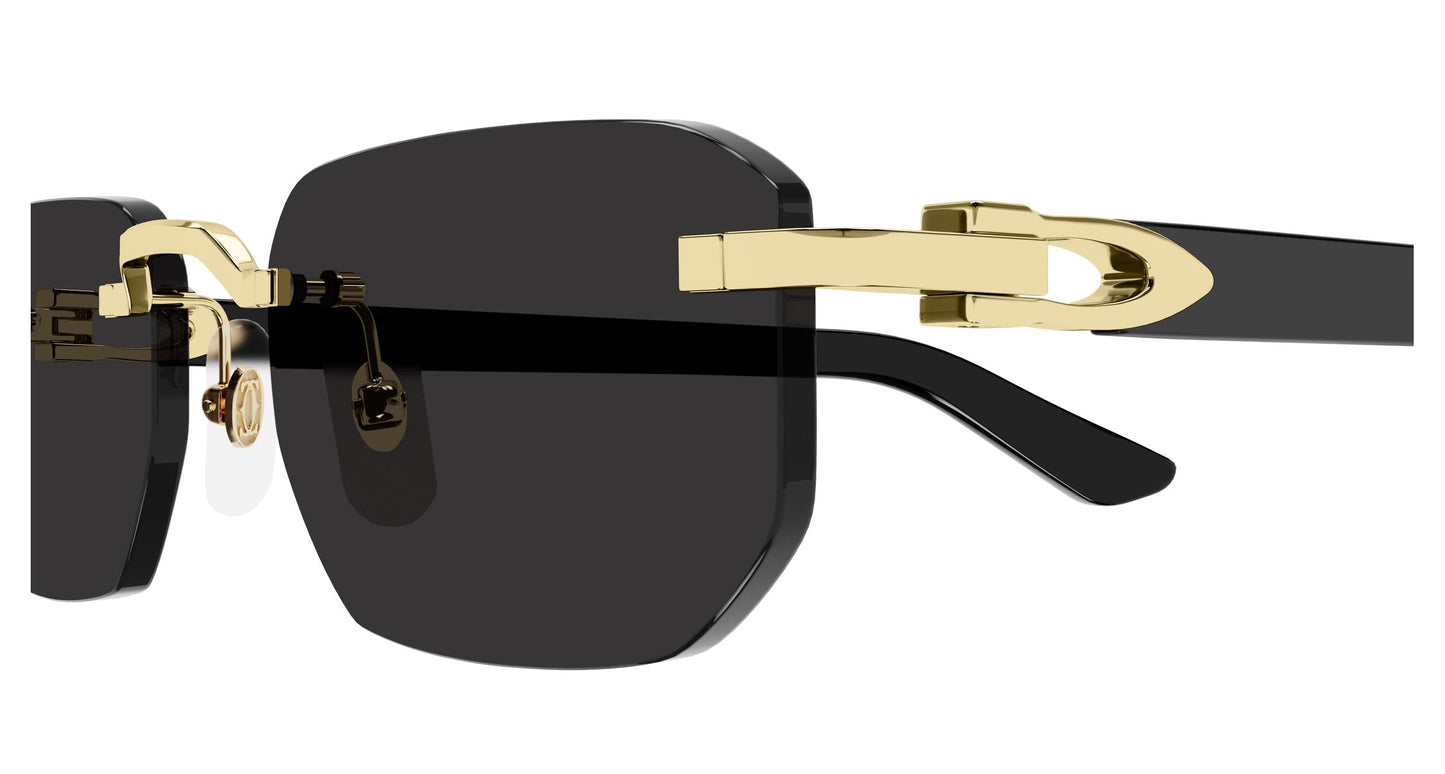 Cartier CT0622S Sunglasses